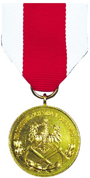 Zoty medal Za Zasugi dla Poarnictwa